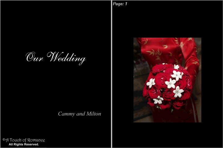 &copy;Copyright 2002 Ed Medici / A Touch of Romance